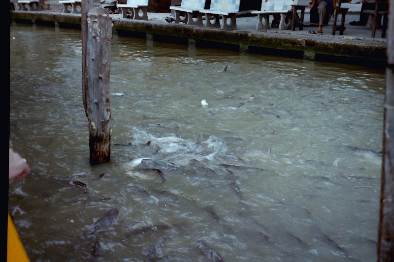Thailand 2001-BcK02.JPG